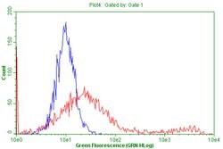 CD5 Mouse anti-Human, Clone: OTI6D6, lyophilized, TrueMAB 100 &mu;g; Unconjugated:Antibodies,