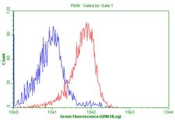 CD5 Mouse anti-Human, Clone: OTI6D6, lyophilized, TrueMAB 100 &mu;g; Unconjugated:Antibodies,