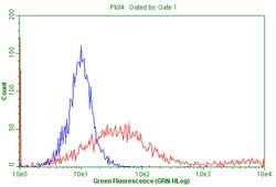 CD5 Monoclonal Antibody (OTI2A2), TrueMAB , OriGene 100 &mu;L; Unconjugated:Antibodies,