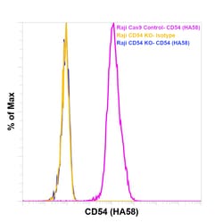 CD54 (ICAM-1) Monoclonal Antibody (HA58), Super Bright 436, eBioscience