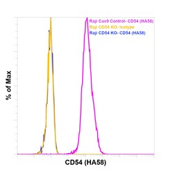 CD54 (ICAM-1) Monoclonal Antibody (HA58), Functional Grade, eBioscience