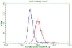 CD63 Monoclonal Antibody (OTI1F10), TrueMAB , OriGene 100 &mu;L; Unconjugated:Antibodies,