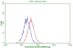 CD63 Monoclonal Antibody (OTI3E5), TrueMAB , OriGene 100 &mu;L; Unconjugated:Antibodies,