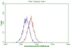 CD63 Monoclonal Antibody (OTI2A2C12), TrueMAB , OriGene 100 &mu;L; Unconjugated:Antibodies,