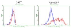 CD68 Mouse anti-Human, Clone: KP1, liquid, TrueMAB 100 &mu;L; Unconjugated:Antibodies,