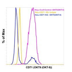 CD71 (Transferrin Receptor) Monoclonal Antibody (OKT9 (OKT-9)), PerCP-eFluor