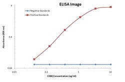 CD80 Monoclonal Antibody (OTI11G5), TrueMAB , OriGene 100 &mu;L; Unconjugated:Antibodies,