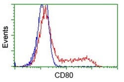 CD80 Monoclonal Antibody (OTI6H7), TrueMAB , OriGene 100 &mu;L; Unconjugated:Antibodies,