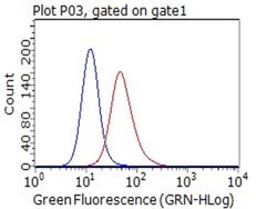 CD80 Monoclonal Antibody (OTI7D6), TrueMAB , OriGene 100 &mu;L; Unconjugated:Antibodies,