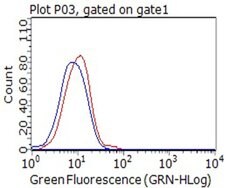 CD80 Monoclonal Antibody (OTI7D6), TrueMAB , OriGene 100 &mu;L; Unconjugated:Antibodies,