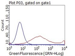 CD80 Monoclonal Antibody (OTI1G9), TrueMAB , OriGene 100 &mu;L; Unconjugated:Antibodies,