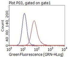 CD80 Monoclonal Antibody (OTI1G9), TrueMAB , OriGene 100 &mu;L; Unconjugated:Antibodies,