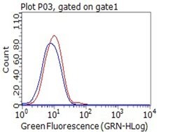 CD80 Monoclonal Antibody (OTI1G9), TrueMAB , OriGene 100 &mu;L; Unconjugated:Antibodies,