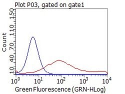 CD80 Monoclonal Antibody (OTI11G5), TrueMAB , OriGene 100 &mu;L; Unconjugated:Antibodies,