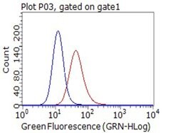 CD80 Monoclonal Antibody (OTI11G5), TrueMAB , OriGene 100 &mu;L; Unconjugated:Antibodies,