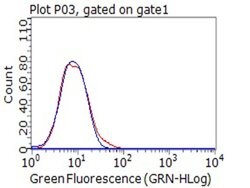 CD80 Monoclonal Antibody (OTI11G5), TrueMAB , OriGene 100 &mu;L; Unconjugated:Antibodies,