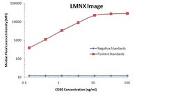 CD80 Monoclonal Antibody (OTI11G5), TrueMAB , OriGene 100 &mu;L; Unconjugated:Antibodies,