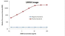 CD80 Monoclonal Antibody (OTI11G5), TrueMAB , OriGene 100 &mu;L; Unconjugated:Antibodies,
