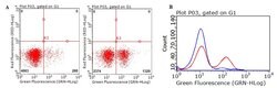 CD8A Mouse anti-Human, Clone: OTI7C10, lyophilized, TrueMAB 100 &mu;g;