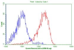 CD99 Monoclonal Antibody (OTI1F11), TrueMAB , OriGene:Antibodies:Primary