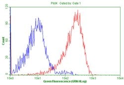 CD99 Mouse anti-Human, Clone: OTI2H6, lyophilized, TrueMAB 100 &mu;g; Unconjugated:Antibodies,