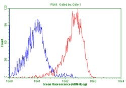 CD99 Mouse anti-Human, Clone: OTI1E12, lyophilized, TrueMAB 100 &mu;g;