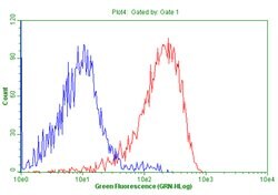 CD99 Monoclonal Antibody (OTI1D5), TrueMAB , OriGene 100 &mu;L; Unconjugated:Antibodies,