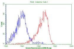 CD99 Monoclonal Antibody (OTI2E8), TrueMAB , OriGene 100 &mu;L; Unconjugated:Antibodies,
