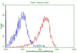 CD99 Monoclonal Antibody (OTI3E8), TrueMAB , OriGene 100 &mu;L; Unconjugated:Antibodies,