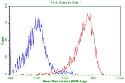 CD99 Monoclonal Antibody (OTI13F10), TrueMAB , OriGene 100 &mu;L; Unconjugated:Antibodies,