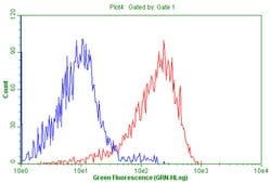 CD99 Monoclonal Antibody (OTI4C6), TrueMAB , OriGene 100 &mu;L; Unconjugated:Antibodies,