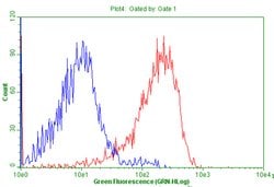 CD99 Monoclonal Antibody (OTI1F1), TrueMAB , OriGene 100 &mu;L; Unconjugated:Antibodies,