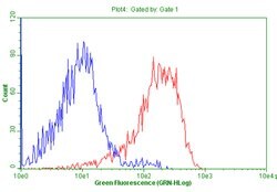 CD99 Mouse anti-Human, Clone: OTI3G5, lyophilized, TrueMAB 100 &mu;g; Unconjugated:Antibodies,