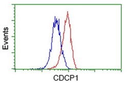 CDCP1 Monoclonal Antibody (OTI4G5), TrueMAB , OriGene 30 &mu;L; Unconjugated:Antibodies,