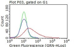 CDH2 Mouse anti-Canine, Human, Mouse, Clone: OTI2G7, liquid, TrueMAB 30