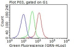CDK2 Mouse anti-Human, Clone: OTI1C4, liquid, TrueMAB 100 &mu;L; Unconjugated:Antibodies,