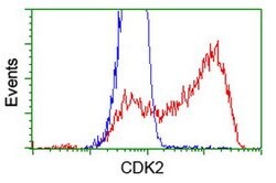 CDK2 Mouse anti-Human, Clone: OTI2F10, lyophilized, TrueMAB 100 &mu;g;