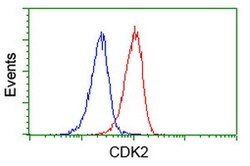 CDK2 Mouse anti-Human, Clone: OTI2F10, lyophilized, TrueMAB 100 &mu;g;