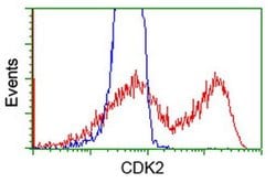 CDK2 Monoclonal Antibody (OTI1H5), TrueMAB , OriGene 100 &mu;L; Unconjugated:Antibodies,