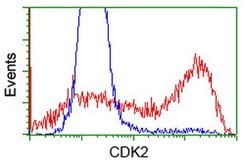 CDK2 Mouse anti-Human, Clone: OTI4B4, lyophilized, TrueMAB 100 &mu;g; Unconjugated:Antibodies,