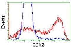 CDK2 Monoclonal Antibody (OTI4B4), TrueMAB , OriGene 100 &mu;L; Unconjugated:Antibodies,