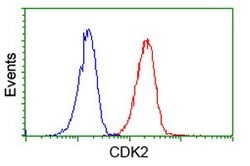 CDK2 Mouse anti-Human, Clone: OTI4B4, lyophilized, TrueMAB 100 &mu;g; Unconjugated:Antibodies,
