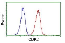 CDK2 Monoclonal Antibody (OTI4B4), TrueMAB , OriGene 100 &mu;L; Unconjugated:Antibodies,