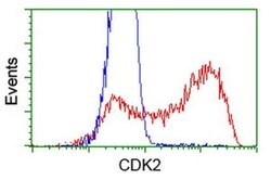 CDK2 Monoclonal Antibody (OTI4D3), TrueMAB , OriGene 100 &mu;L; Unconjugated:Antibodies,