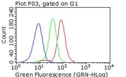 CDK2 Monoclonal Antibody (OTI4D3), TrueMAB , OriGene 100 &mu;L; Unconjugated:Antibodies,