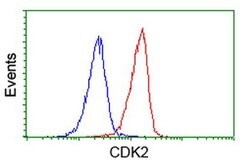 CDK2 Monoclonal Antibody (OTI4D3), TrueMAB , OriGene 100 &mu;L; Unconjugated:Antibodies,