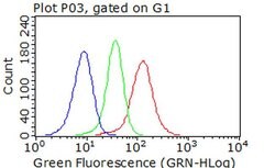 CDK2 Monoclonal Antibody (OTI6H2), TrueMAB , OriGene 100 &mu;L; Unconjugated:Antibodies,