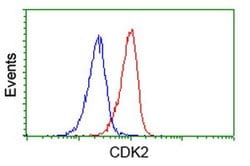 CDK2 Monoclonal Antibody (OTI6H2), TrueMAB , OriGene 100 &mu;L; Unconjugated:Antibodies,