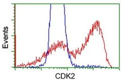 CDK2 Monoclonal Antibody (OTI1A8), TrueMAB , OriGene 30 &mu;L; Unconjugated:Antibodies,