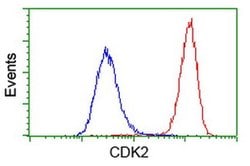 CDK2 Monoclonal Antibody (OTI1A8), TrueMAB , OriGene 30 &mu;L; Unconjugated:Antibodies,